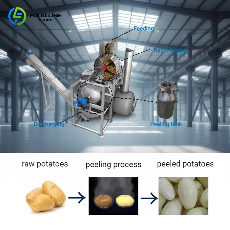 Commercial Potato Peeler - カスタマイズ可能な高効率自動蒸気ピーリングマシン、業務用ポテト蒸気ピーラー